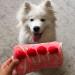 CHEWFFON Dog Birthday Cake Puzzle Toy for Mental Stimulation - Strawberry Cake Flavor - Buy Online on GoSupps.com