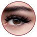 iEnvy by Kiss Iconic Collection 3D Angle & Volume Lightweight CHIC ICON KPEI01 | Shop Internationally for Premium Quality Eyelashes - Buy Online on GoSupps.com