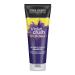 John Frieda Violet Crush Intensive Violet Shampoo for Blonde Hair 250 ml