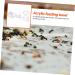 SEWOART 2pcs Ant Water Feeder Ants Ant Nest Water Feeder Ant Liquid Feeder Pet Waterer Transparent Acrylic - Buy Online on GoSupps.com
