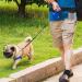 Nuoshen Pet Treat Bag - Adjustable Waistband Dog Training Pouch for Travel & Outdoor Use (Light-gray) - Buy Online on GoSupps.com