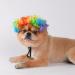 Funny Dog & Cat Role Play Wigs for Halloween & Christmas - Colorful Pet Costumes for Small Medium & Large Dogs - Buy Online on GoSupps.com