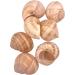 Snail Shells 96 Pieces - Buy Online on GoSupps.com