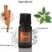 Erb Bliss Essential Oil 7 mL - Premium Floral Oil for Candle Making Massage & Home Diffuser | Cinnamon Camphor & Black Pepper - Buy Online on GoSupps.com