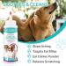 Purvigor Dog Ear Cleaner - Effective Ear Infection Treatment for Pets | Removes Itching, Hair, Odour, Dirt & Debris | Advanced Ear Cleaner Solution - 1PC - Buy Online on GoSupps.com