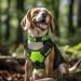 Joytale XL Reflective Dog Collar for Large Dogs Green | Durable & Safe | Pack of 1 - Buy Online on GoSupps.com