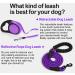 Taglory 5m Retractable Dog Leash for Medium & Large Dogs up to 45kg - Durable Anti-Slip Handle Safe Brake System - Purple | International Shipping Available - Buy Online on GoSupps.com