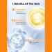 Sunscreen Spf60 Sunscreen Lotion Vitamin C Suncream Sun Block - Outdoor Refreshing UV/UVB Protection Sunscreen Lotion for Face/Body with Collagen & Nicotinamide Face Moisturiser for All Skin Types - Buy Online on GoSupps.com