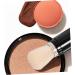 FOMIYES Buttons Make up Brush Makeup Brush Foundation Brush Loose Powder Brush Blush Makeup Powder Brush Blush Brush for Cheeks Miss Telescopic Brush Cosmetic Artificial Fiber - Buy Online on GoSupps.com