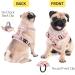 Buy Heele Dog Crockery & No-Pull Harness for Medium Dogs - Soft Reflective Padded Handle Pink Flower Design - Shop Internationally - Buy Online on GoSupps.com
