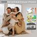Window Restrictor HOMGEN Professional 8pcs Window Restrictor Locks Baby Security Window Locks for Child Baby Safety Window Restrictor Locks with Screws Keys Perfect for The Children Safety Style-A - Buy Online on GoSupps.com