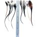 Real Feather Hair Extensions - 25 Fluffys with Rings and Loop for Easy Application | Includes Instructions - Buy Online on GoSupps.com