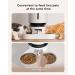 PETLIBRO Automatic Cat Feeder Camera 1080P HD Video Night Vision 5G WiFi 2-Way Audio Low Food Sensor Motion Sound Alerts 2/5L White - Buy Online on GoSupps.com