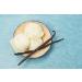 Grade A Bourbon Vanilla Beans - Premium Gourmet Pods for Baking, Brewing, and Cooking - 10 Count Pack for Homemade Vanilla Extract and Bean Paste - Buy Online on GoSupps.com