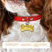 Ibera Gifts - Personalized Bone Shape Pendants for Large Dogs & Cats | Custom Engraved Dog Collars & Neck Bands (Gold & Paws) - Buy Online on GoSupps.com
