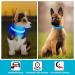 KOSKILL USB LED Dog Collar - Waterproof & Adjustable Luminous Collar for Small Dogs - Super Bright Blue S - Buy Online on GoSupps.com