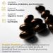 Premier Research Labs Premier Probiotic - Pre Pro Post Biotics for Women & Men Quad Biotic Quadbiotic Prebiotics Probiotics Postbiotics & Phytobiotics - 30 Vegetarian Softgel Capsules - Buy Online on GoSupps.com