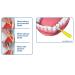 Piksters Interdental Brush Size 7 - Effective Oral Care for Healthier Teeth | International Shipping Available - Buy Online on GoSupps.com