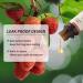 Buy 100% Pure Organic Litchi Essential Oil | Unadulterated Aromatherapy Oil for Diffuser & Humidifier - 10ml - Buy Online on GoSupps.com