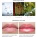 Huile hydratante pour les l vres Huile hydratante pour les Lip Plumping Lip Volumizer Augmentation des l vres lipsticklipstick lipstick - Buy Online on GoSupps.com