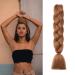 Gairyan jumbo braids extensions lichen art hair 1 piece 100g braiding hair extensions 60cm ombre synthetics braids afro hair for box crochet braids (light auburn) 60 cm (1 piece) Light outer