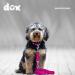 DDOXX Airmesh Dog Leash - 2m 3-Way Adjustable for All Dog Sizes - S (Pink) - Durable & Comfortable Pet Leash - Buy Online on GoSupps.com