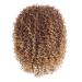 Buy Afro Wig for Women - Brown Wavy Synthetic Curly Long Hair for 50s 60s 70s 80s Party & Cosplay - International Shipping - Buy Online on GoSupps.com