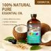 Coconut Essential Oil 4 Fl Oz and Magnolia Essential Oil 4 Fl Oz - Coconut & Magnolia Oil for Diffuser Aromatherapy Home Fragrance Skin & Hair Care DIY Candle & Soap Making Yoga - Buy Online on GoSupps.com