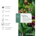 Padma Hepatib 60 Caps - Metabolism & Detox Support | 3-Fruit Formula with Cholin & Tibetan Herbal Blend - Boost Health with Magnesium - Buy Online on GoSupps.com
