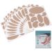 Foot Protector Stickers | Waterproof Shock Absorption Relief | Heel Care Tape Patch | Non-Woven Fabric for Ultimate Foot Care - Buy Online on GoSupps.com