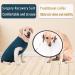 Axcimond Dog Surgery Recovery Suit - Spay Suit for Medium Large Dogs - Male Female Pet Shirt Alternative - Blue - Buy Online on GoSupps.com