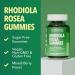 HAVASU NUTRITION Rhodiola Rosea Gummies - Sugar Free Rhodiola Supplement - Adaptogen for Mental Clarity and Physical Performance - 120 Count - Vegan Non-GMO and Gluten-Free - 2-Month Supply 120 Count (Pack of 1) - Buy Online on GoSupps.com