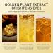 24k Gold Under Eye Patches for Dark Circles and Puffiness - 60PCS Gel Eye Masks for Men and Women, Collagen Eye Pads for Eye Bags - Reduce Wrinkles and Puffy Eyes - Self Care Eye Patch (Gold) - Buy Online on GoSupps.com