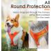 Thinkpet No-Pull Dog Harness Leash Set | Breathable Adjustable Padded Reflective Safety Harness for Small Medium & Large Dogs - Orange - Buy Online on GoSupps.com