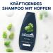Schwarzkopf Schauma Men's Shampoo (2 x 400 ml) - Fortifying shampoo for men - For strengthened hair and nourishes the hair structure - Perfect for normal hair - Buy Online on GoSupps.com