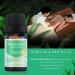 Tea Tree Essential Oil Blend - Skin Safe Multipurpose Aromatherapy Oil for Body Care Massage & Hair Care - 0.34 Fl Oz - Buy Online on GoSupps.com
