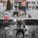 3 Way Reflective Dog Leash Handle for Walking Three Dogs - Adjustable Triple Coupler Traction Rope - Padded and Detachable - Black - Buy Online on GoSupps.com