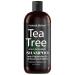 Natural Riches Tea Tree Shampoo - Special Tea Tree Oil Shampoo Fights Dandruff with Pure Tea Tree Oil for Dry Hair with Pure Lavender  Peppermint  Sulfate & Paraben Free - 16 fl oz