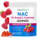 Onznoz NAC Rubber Balls 60 Pack 1000mg N-Acetylcysteine Sugar Free Immune System Support Lung and Liver Health Supports Airway Health Vegan