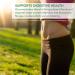 PlantFusion Organic Pea Protein Powder - Vegan, Gluten-Free, Chocolate, 1 LB - Buy Online on GoSupps.com