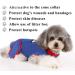 BT Bear Dog Surgery Recovery Suits Soft Elastic Cotton Pet Cat Recovery Jackets Vest After Surgery Clothing After Surgery Wear Anti Licking Wounds (XX-Large) - Buy Online on GoSupps.com
