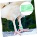 Happyyami 100pcs Chicken Foot Ring Chicken Charms Chick Leg Poultry Marking Tools Goose Foot Ring Disposable 2X2X1CM Green - Buy Online on GoSupps.com