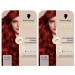 handle Coloration 688 Intensive red 2 x 182 ml sustainable hair color with serum and hair mask protects against visible hair damage for 100 gray coverage