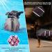 Kuoser High Visibility Dog Life Jacket | Adjustable Pet Floatation Vest with Reflective Stripes | Rescue Handle | Shining Fish Scales | Dog Lifesaver Swimwear for Pool & Beach | Pink, Size Large - Buy Online on GoSupps.com
