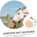 FOMIYES Animal Lick Salt Block Salt Licking Block Livestock Supply Nutrition Farm Animals Salt Horse Salt - Buy Online on GoSupps.com