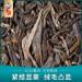 Pu-erh tea 2020 Lu Tang Jingmai Ancient Tree 357g Raw - Buy Online on GoSupps.com