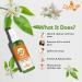 Crysalis Neroli Floral Water 100ml | Pure Citrus Aurantium - Shop Internationally - Buy Online on GoSupps.com