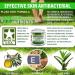 Natural Antifungal Cream for Athlete's Foot, Eczema, Jock Itch, Ringworm & Nail Fungus - Tea Tree Oil, Aloe Vera, Vitamin E Infused - Buy Online on GoSupps.com