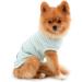Buy Paidful Summer Striped T-Shirt for Small Dogs - 100% Cotton Sleeveless Chihuahua & Yorkshire - XL Green - Perfect Fit for Young Girls & Pets - Buy Online on GoSupps.com
