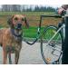T Tocas Stainless Steel Bicycle Dogs Leash - Walk & Ride with Hands Free Pet Training Lead Comfortable Silicone Handle Black Handle - Buy Online on GoSupps.com
